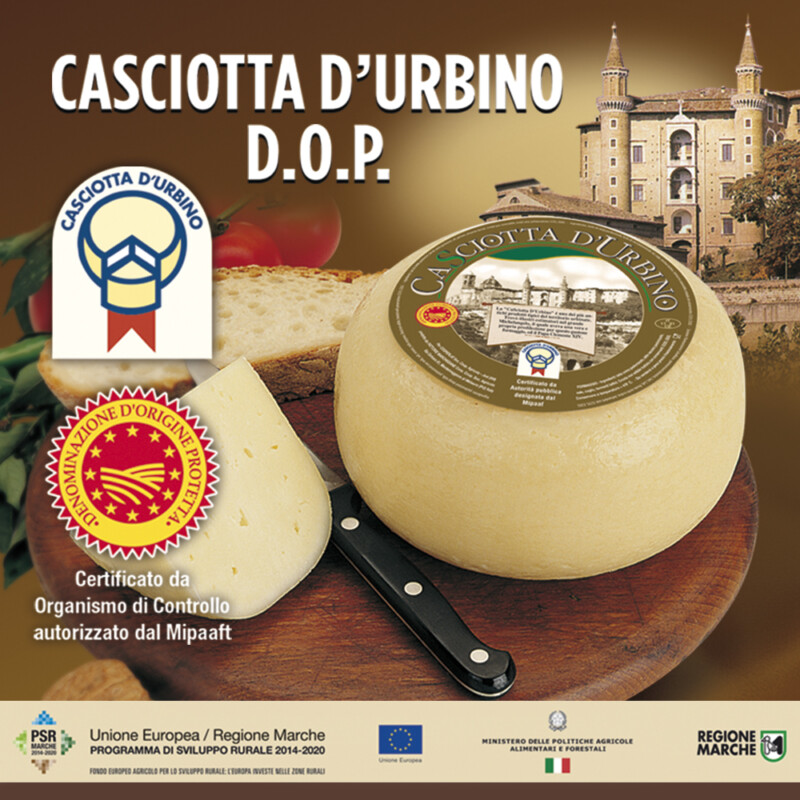 Cacotta d'Urbino DOP sponsor Controvento APS